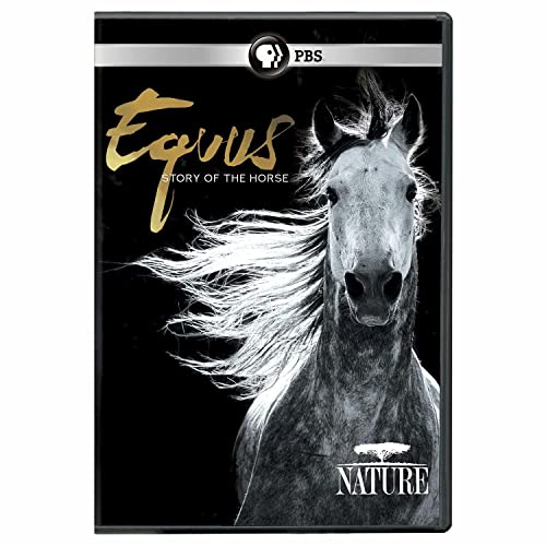 Equus (DVD) : story of the horse